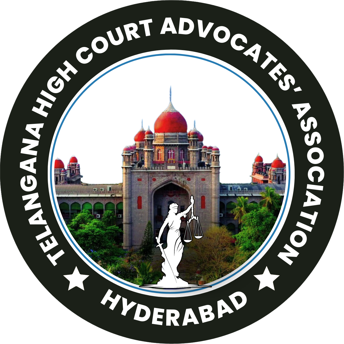 THCAA Logo